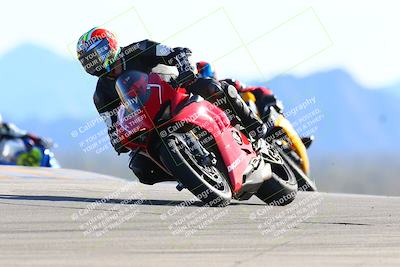 media/Jan-08-2022-SoCal Trackdays (Sat) [[1ec2777125]]/Turn 9 (125pm)/